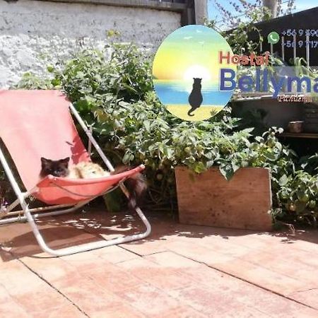 פיצ'ילמו Hostal Bellymar מראה חיצוני תמונה
