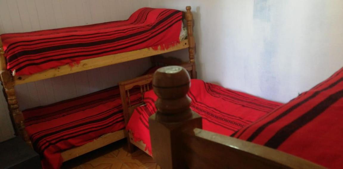 פיצ'ילמו Hostal Bellymar מראה חיצוני תמונה