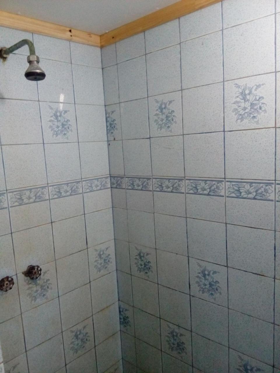 פיצ'ילמו Hostal Bellymar מראה חיצוני תמונה