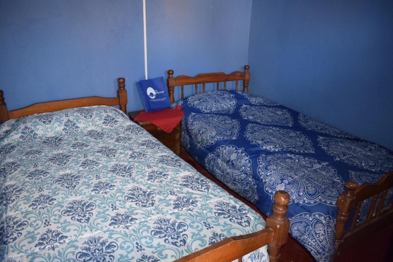 פיצ'ילמו Hostal Bellymar מראה חיצוני תמונה